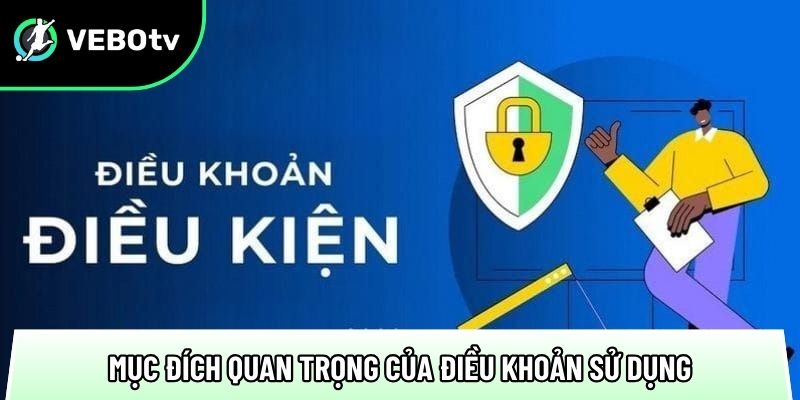 Điều khoản sử dụng 2025: Bảo mật thông tin 100% người xem 1 cac muc dich quan trong cua dieu khoan su dung tai trang xem truc tiep bong da