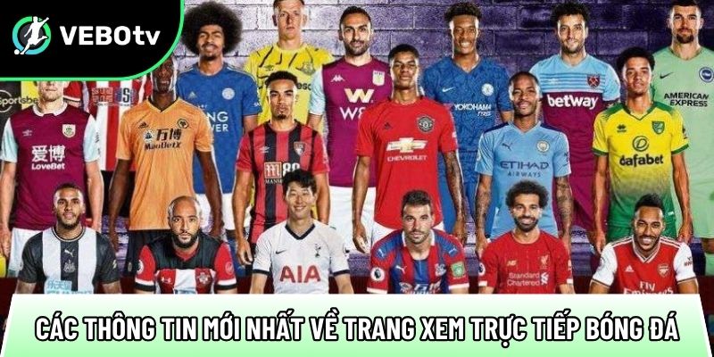 cac thong tin moi nhat ve trang xem truc tiep bong da